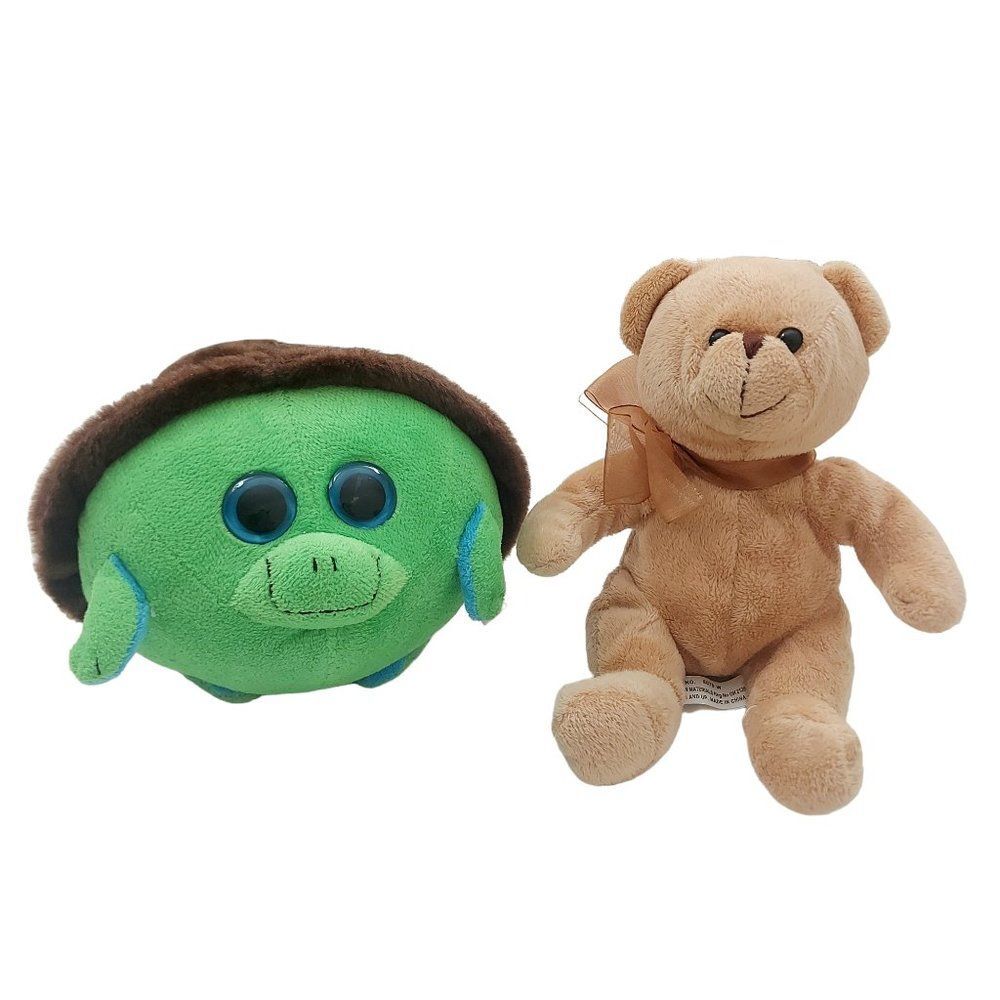 Plushies Set of Two The Petting Zoo/Maitoi Turtle And Teddy Bear Animal Stuffed